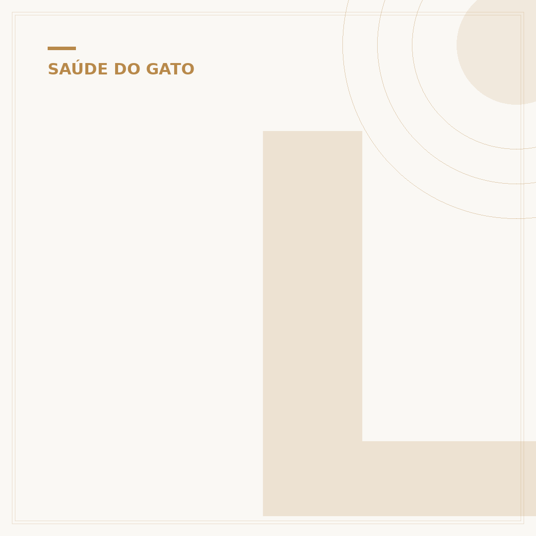 Leite sucedâneo para gatos