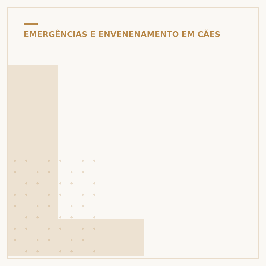 Leite corta veneno de sapo em cachorro? O que diz a ciência
