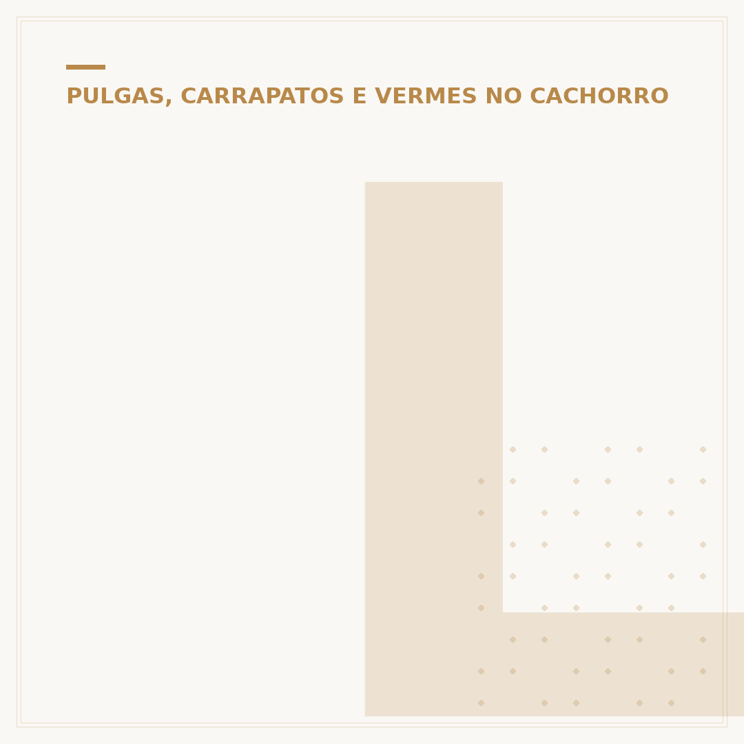 Leite da verme em cachorro: como tratar e prevenir