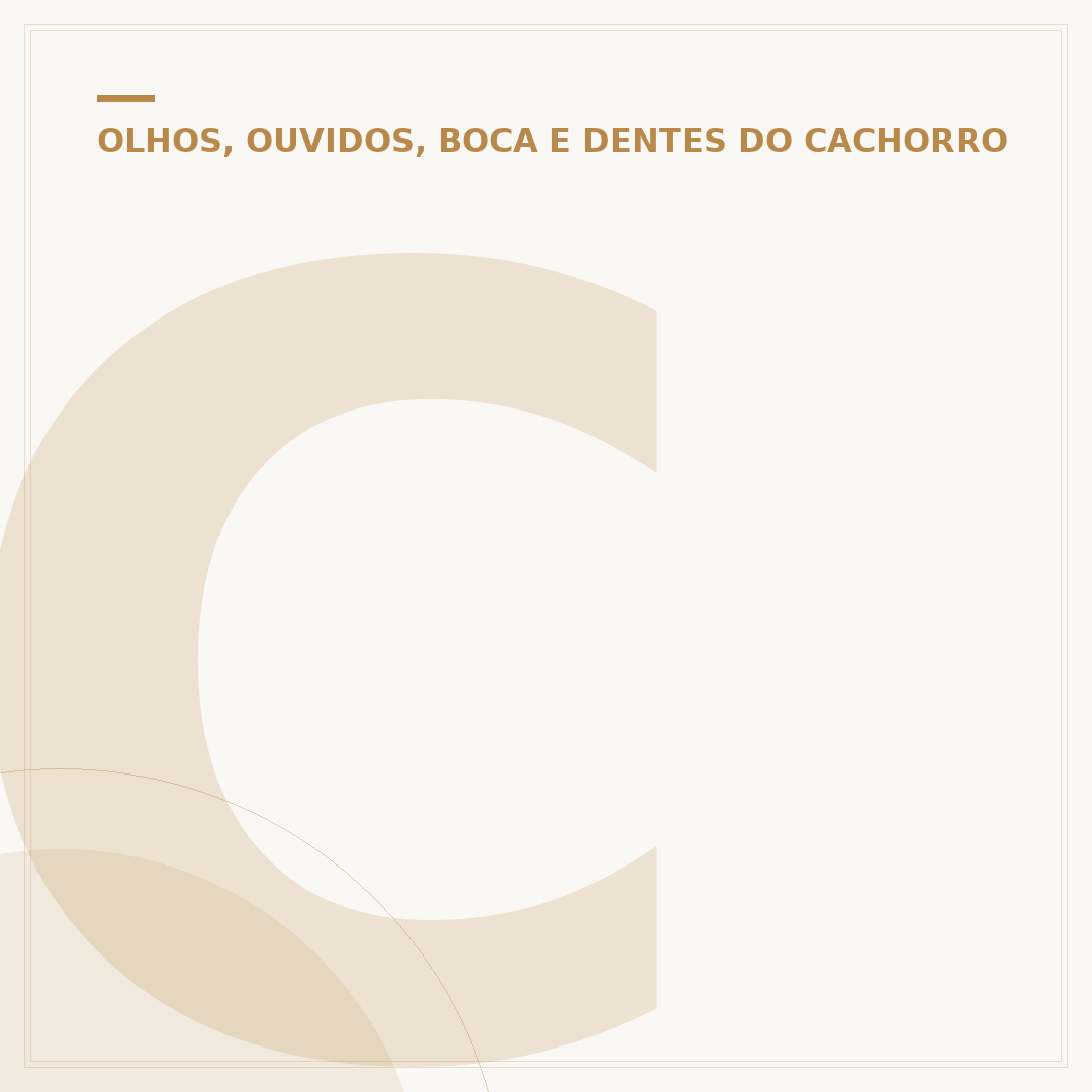Como limpar o ouvido de cachorro com otite