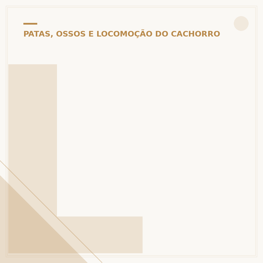Limpando a pata do cachorro