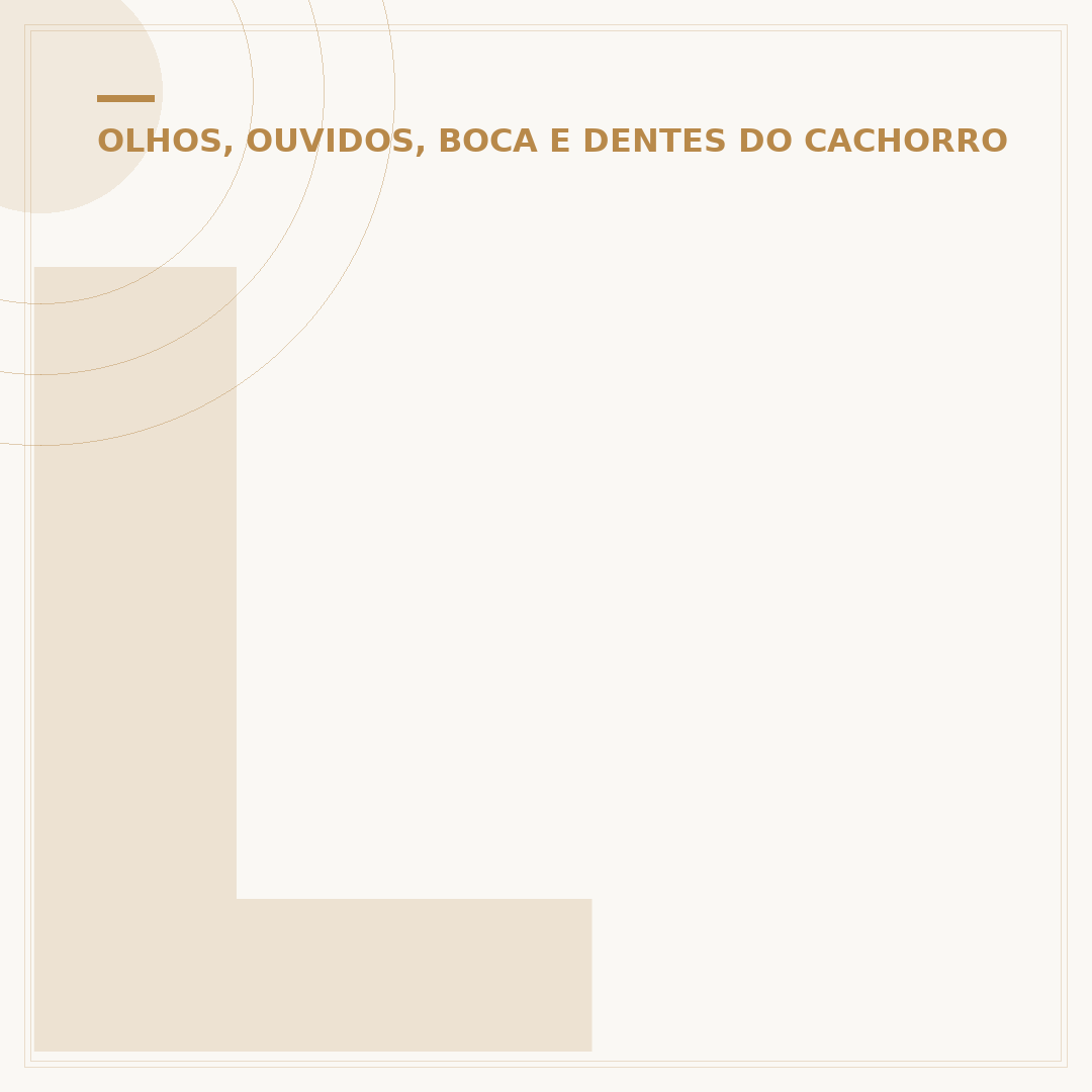 Limpeza de dente em cachorro