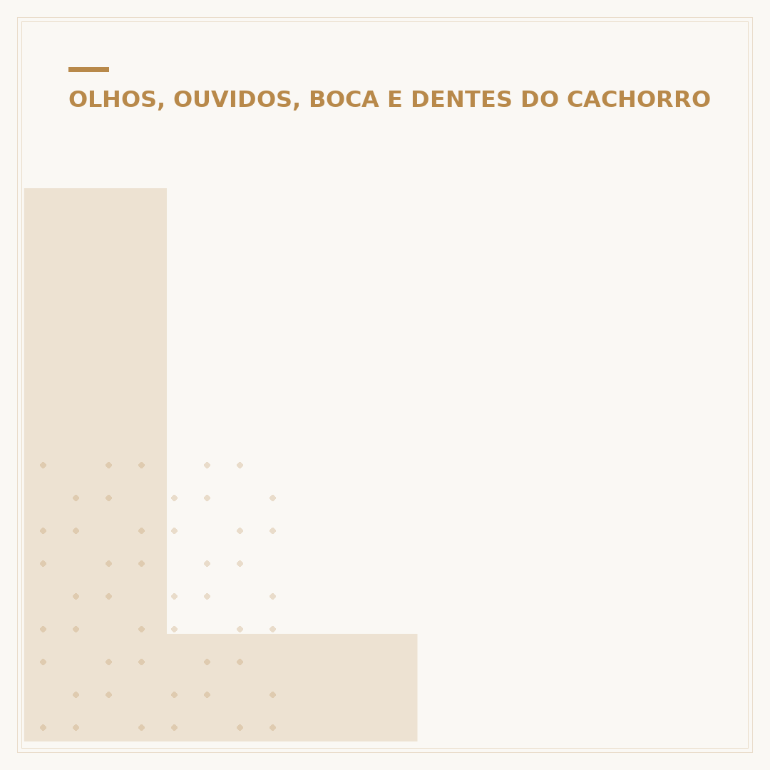 Limpeza de ouvido de cachorro com otite