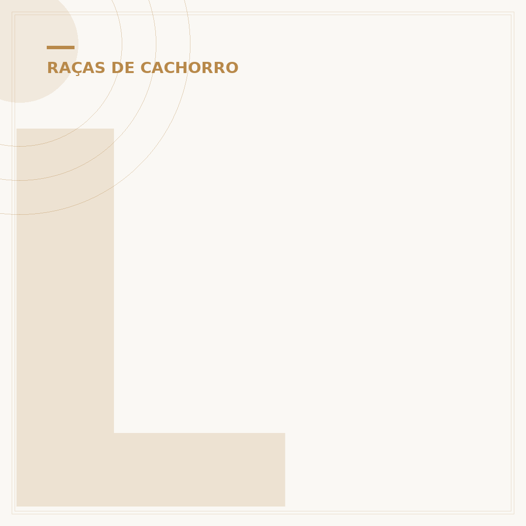 Lista de raças de cachorro: conheça as mais populares