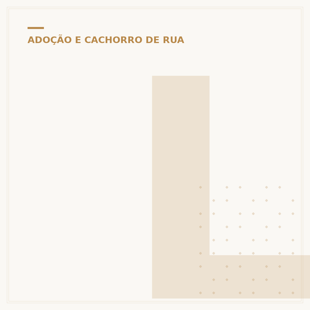 Lugares para adotar cachorros