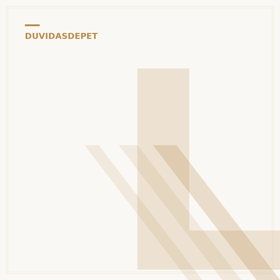 Lulu: cachorro filhote
