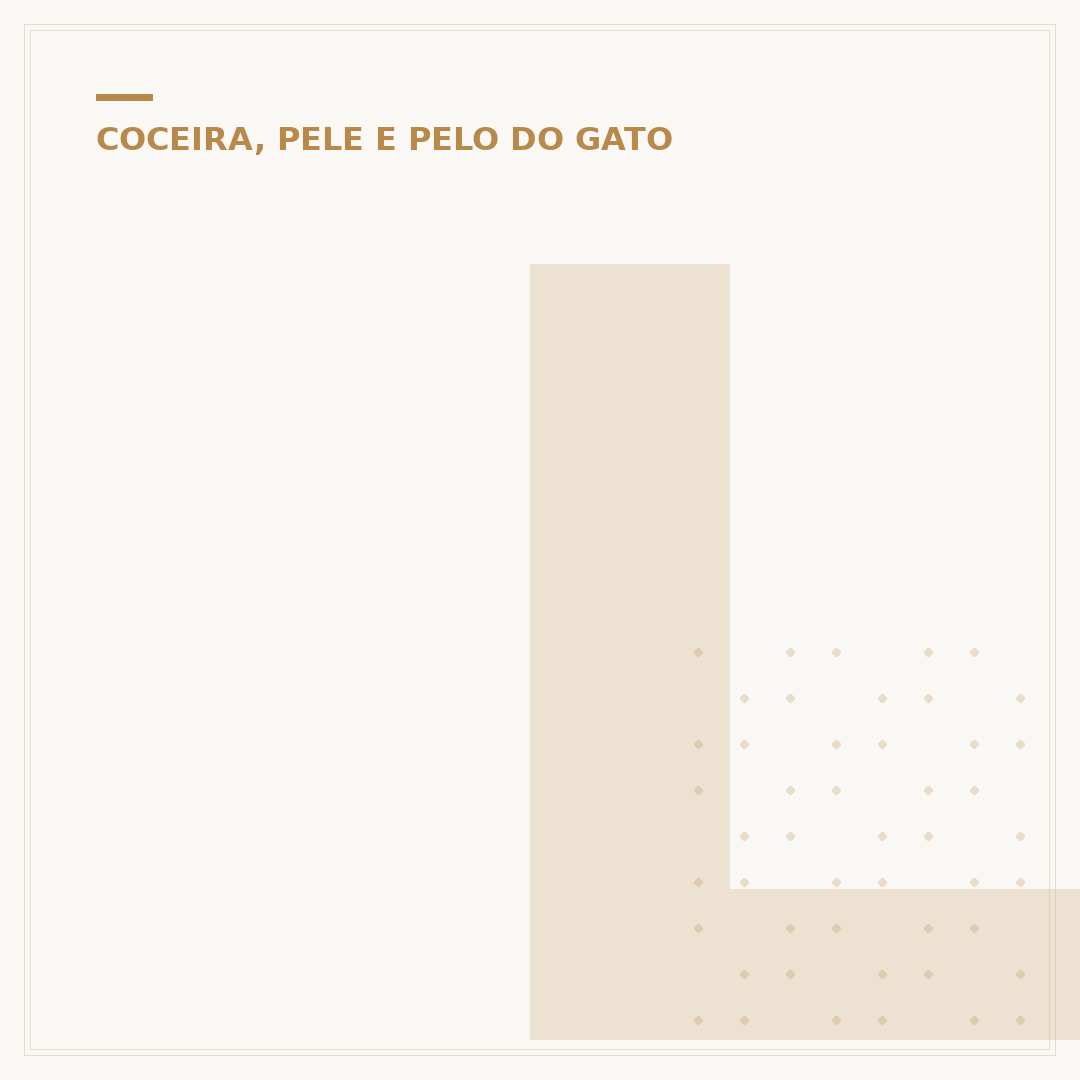 Luto pelo meu gato: como lidar com a dor e a saudade