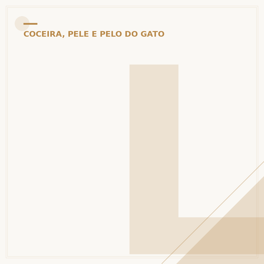 Luva tira pelo de gato