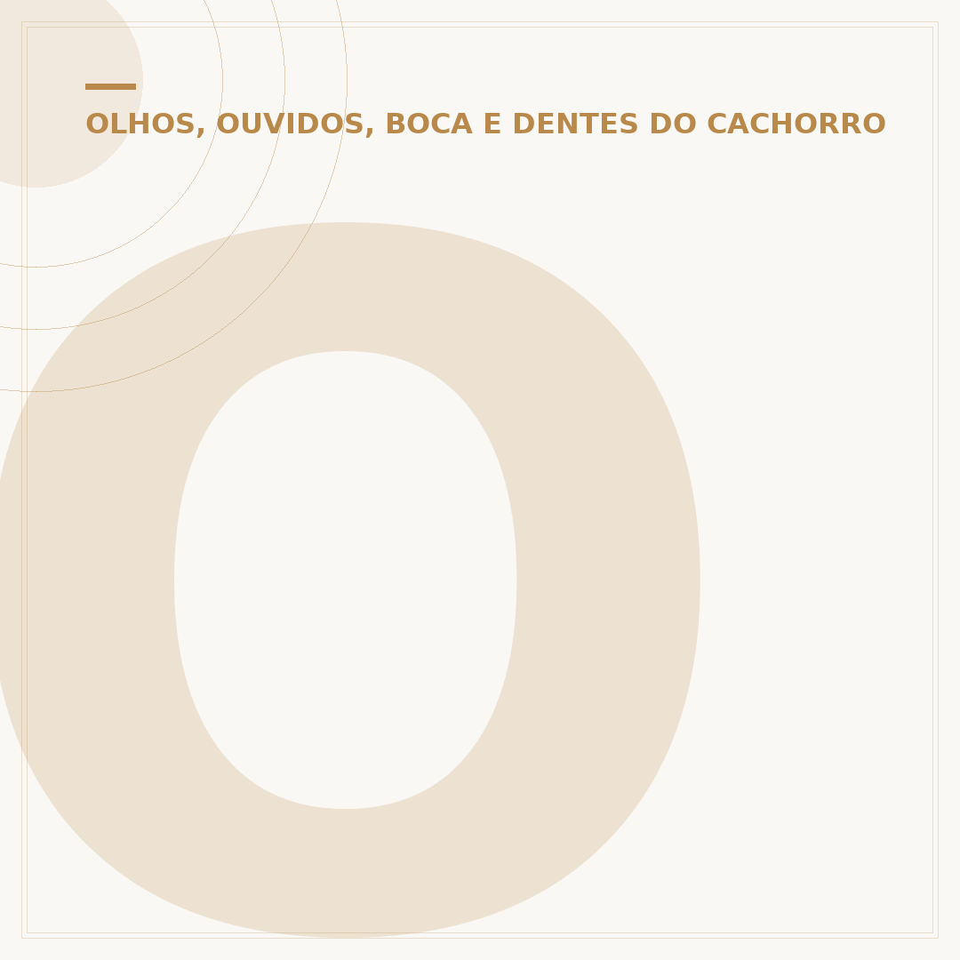 O que fazer com um machucado no olho do cachorro?