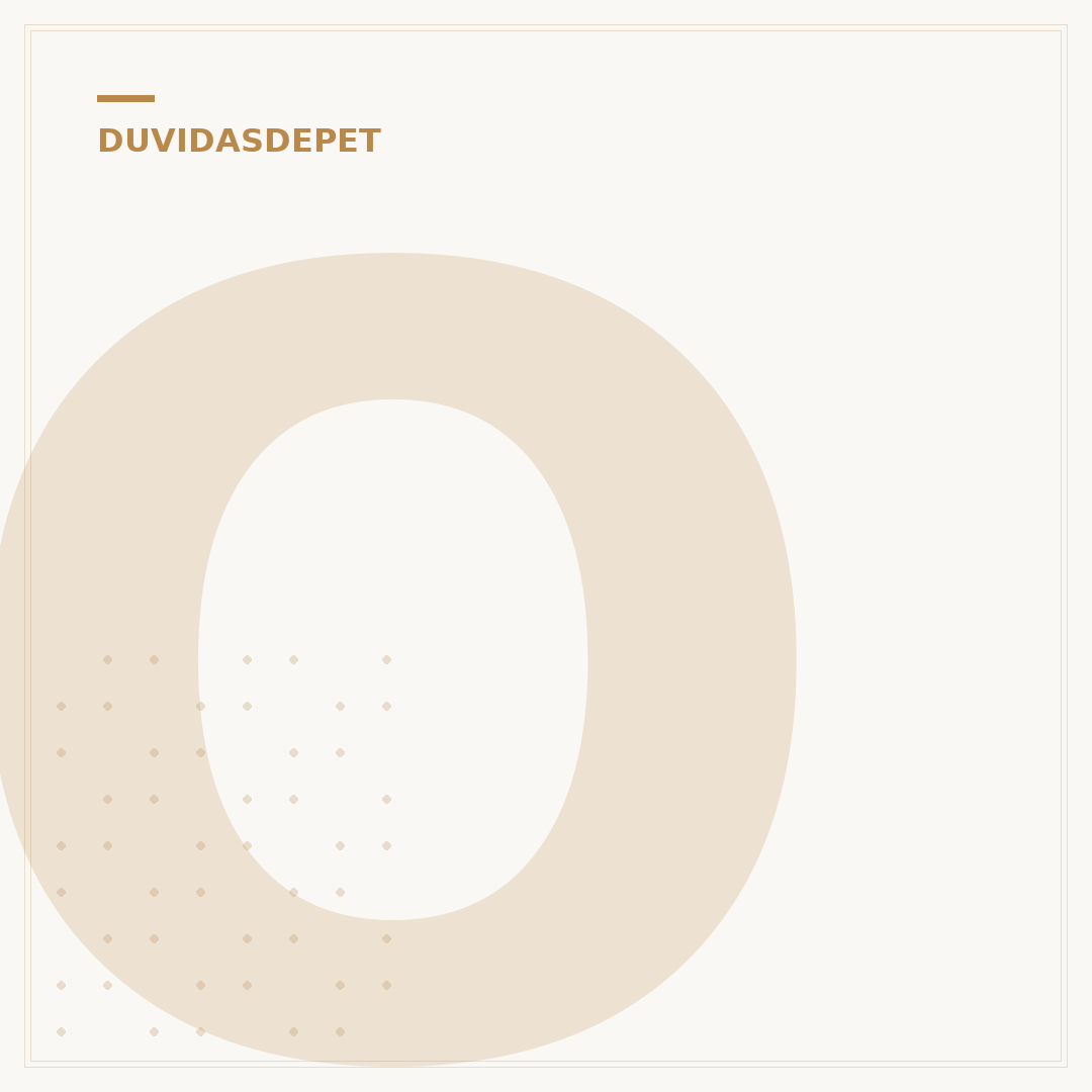 O maior gato do mundo: conheça as espécies gigantes