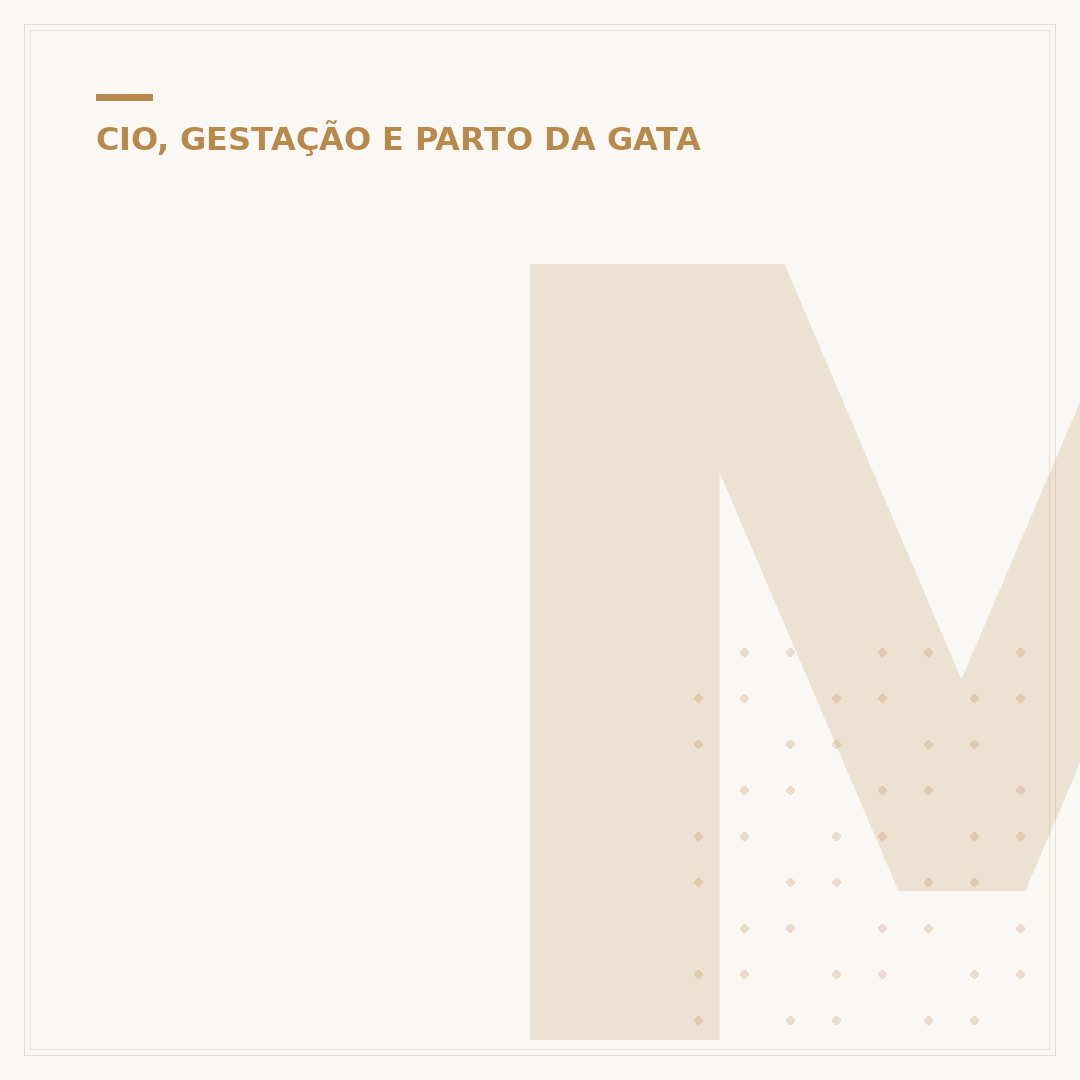 Malandro é o gato que já nasceu de bigode: entenda o ditado