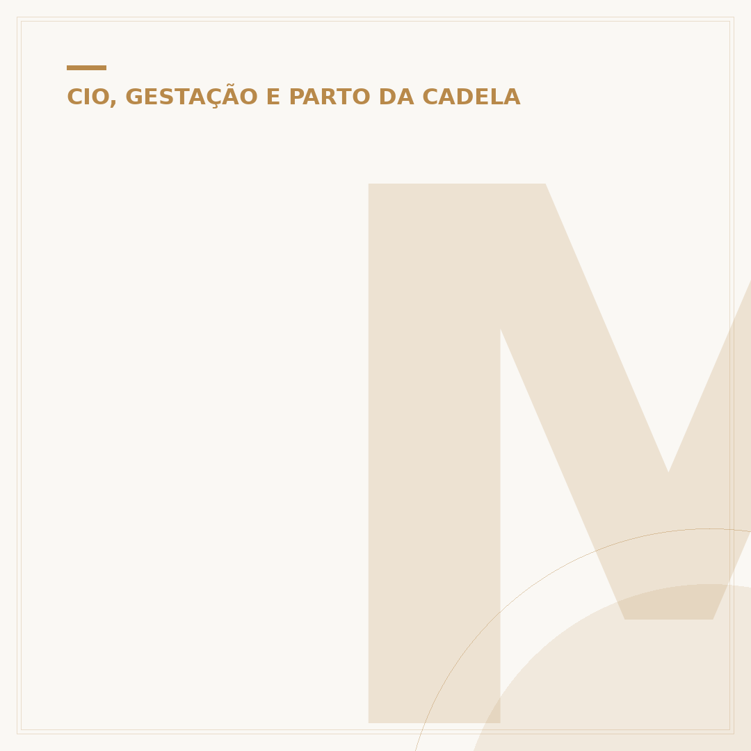 Mama cadela serve para melasma: entenda o uso e cuidados