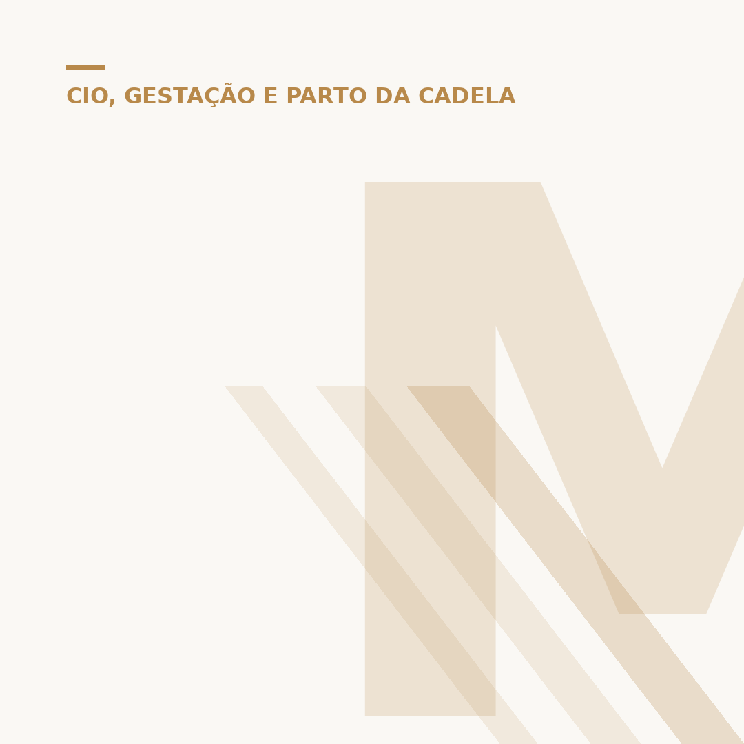 Mama cadela com vitiligo: fotos antes e depois