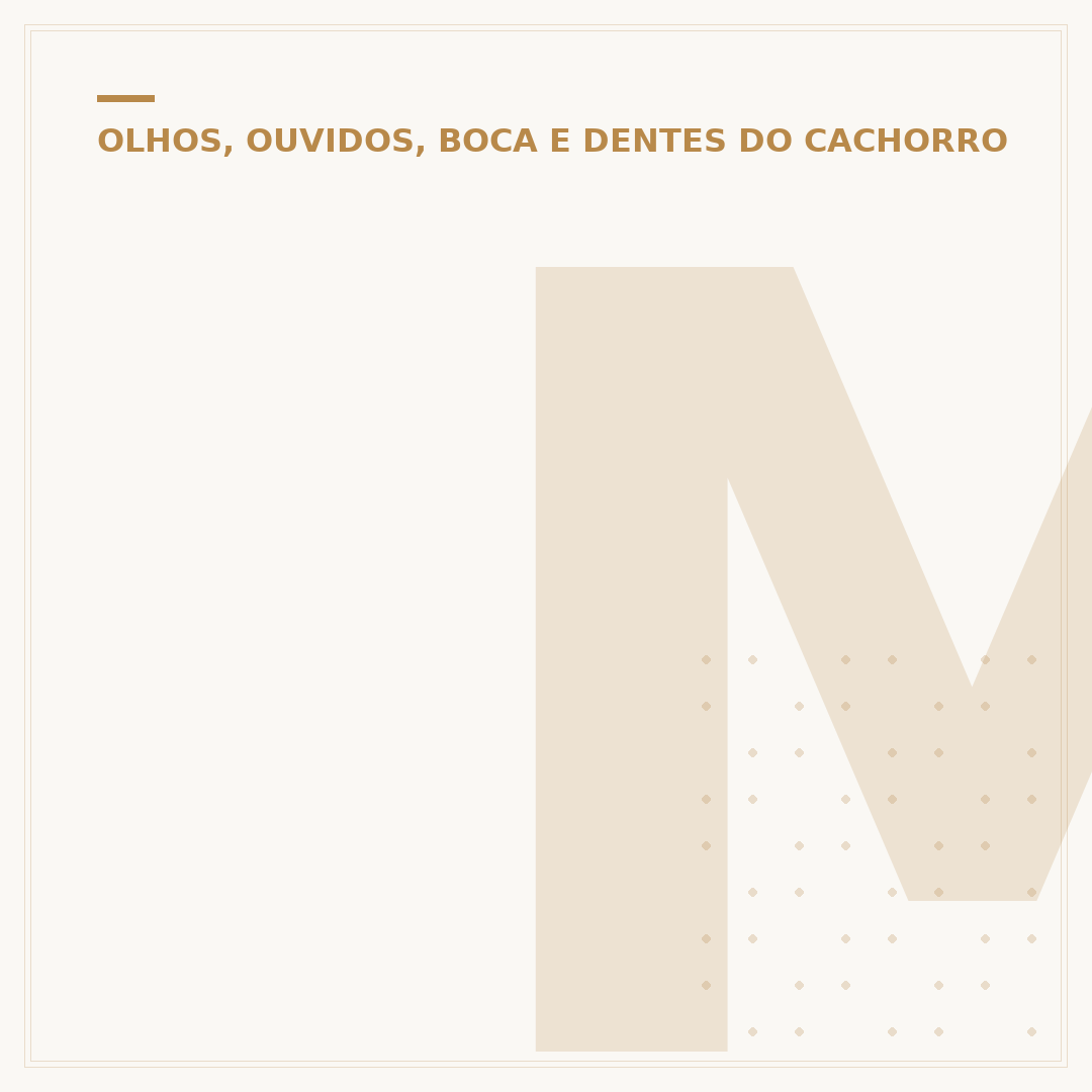 Mancha branca no olho do cachorro: causas e tratamentos