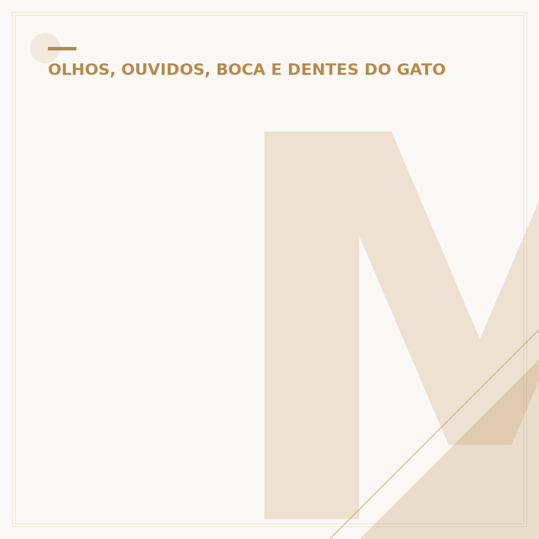Mancha no olho do gato: causas, sintomas e cuidados
