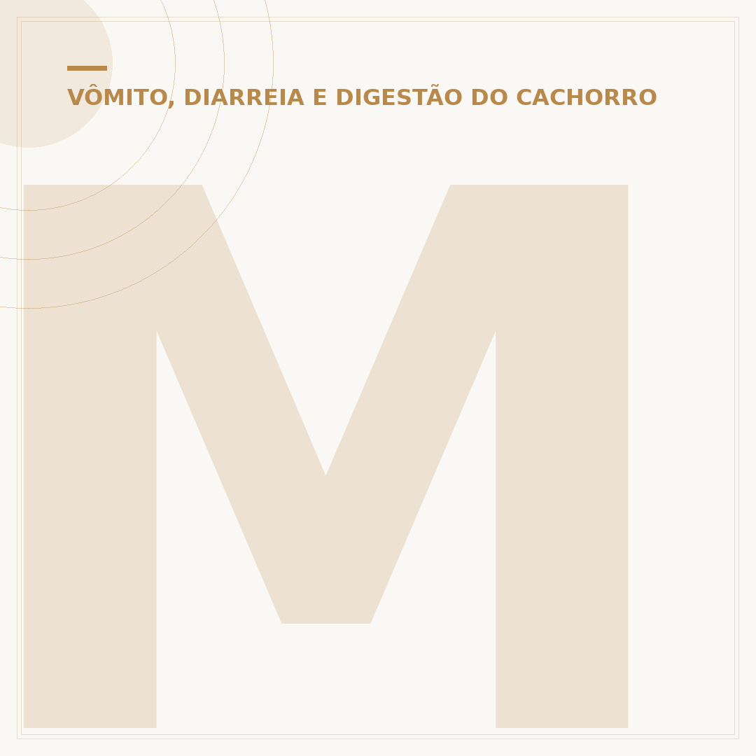 Manchas na barriga do cachorro: causas, sinais e cuidados