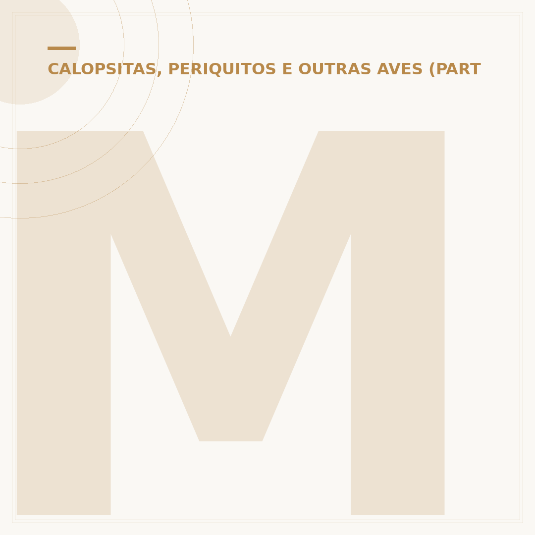 Maritaca e papagaio: entenda as diferenças e semelhanças