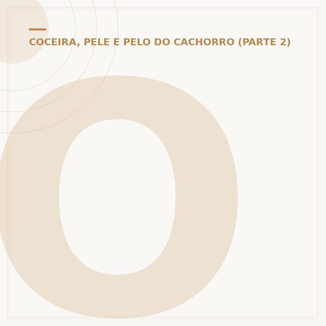 O melhor aspirador para pelo de cachorro