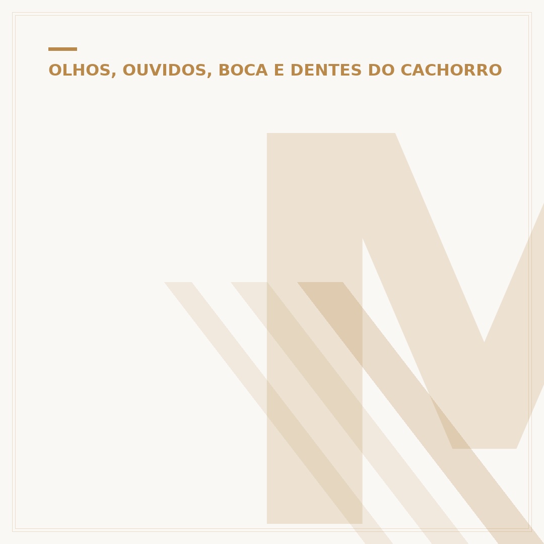 Melhor petisco para limpar dentes de cachorro
