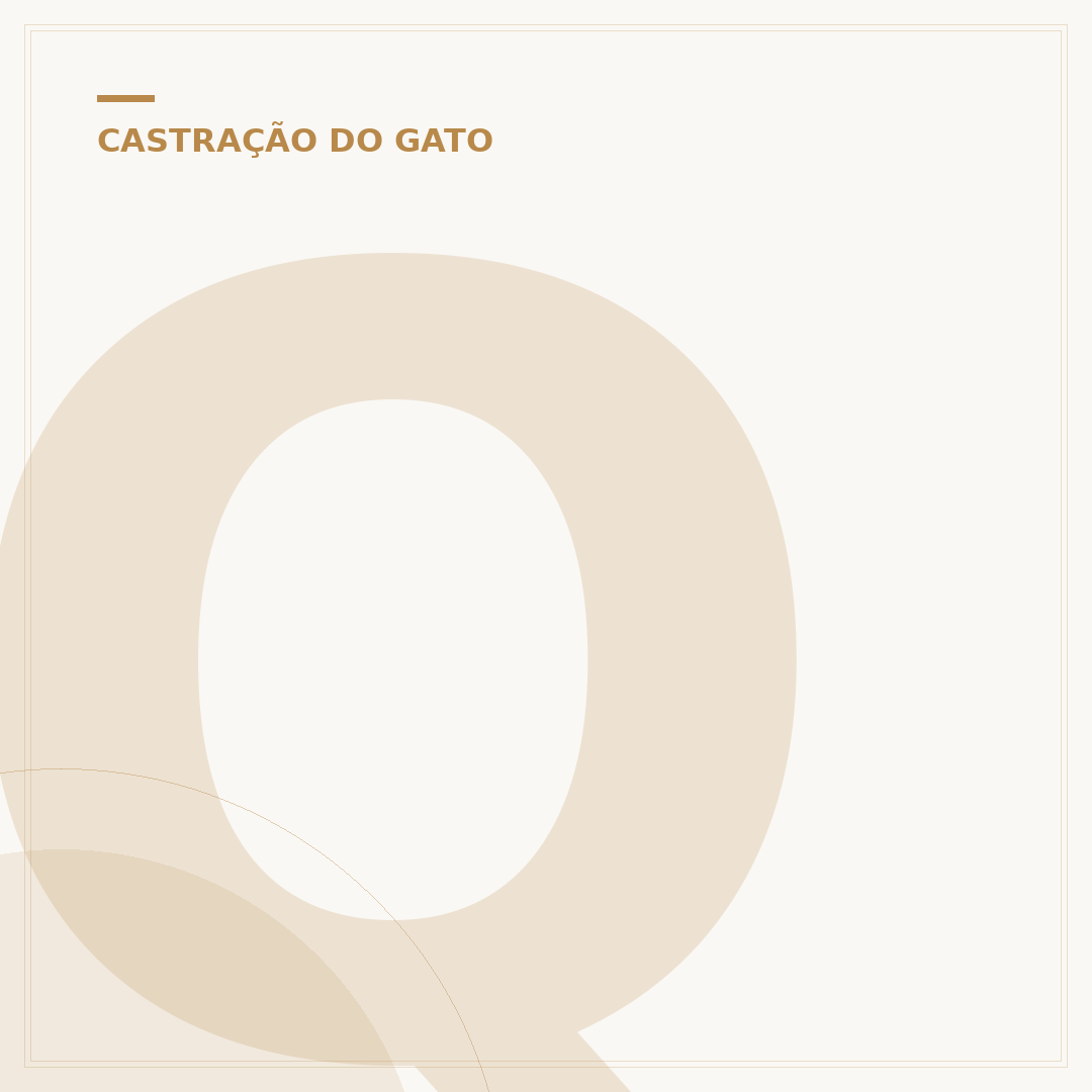 Qual a melhor ração para gato idoso castrado?