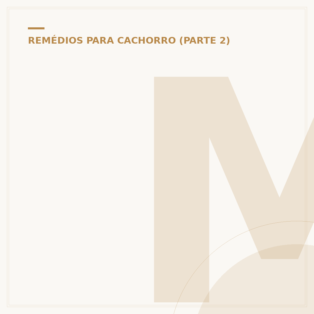 Melhor remédio para dermatite canina: o que funciona?