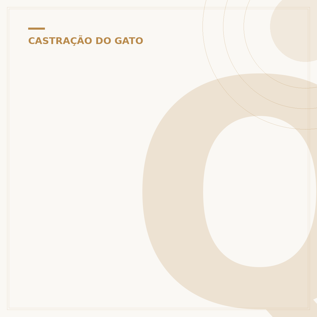 Qual o melhor sachê para gatos castrados?