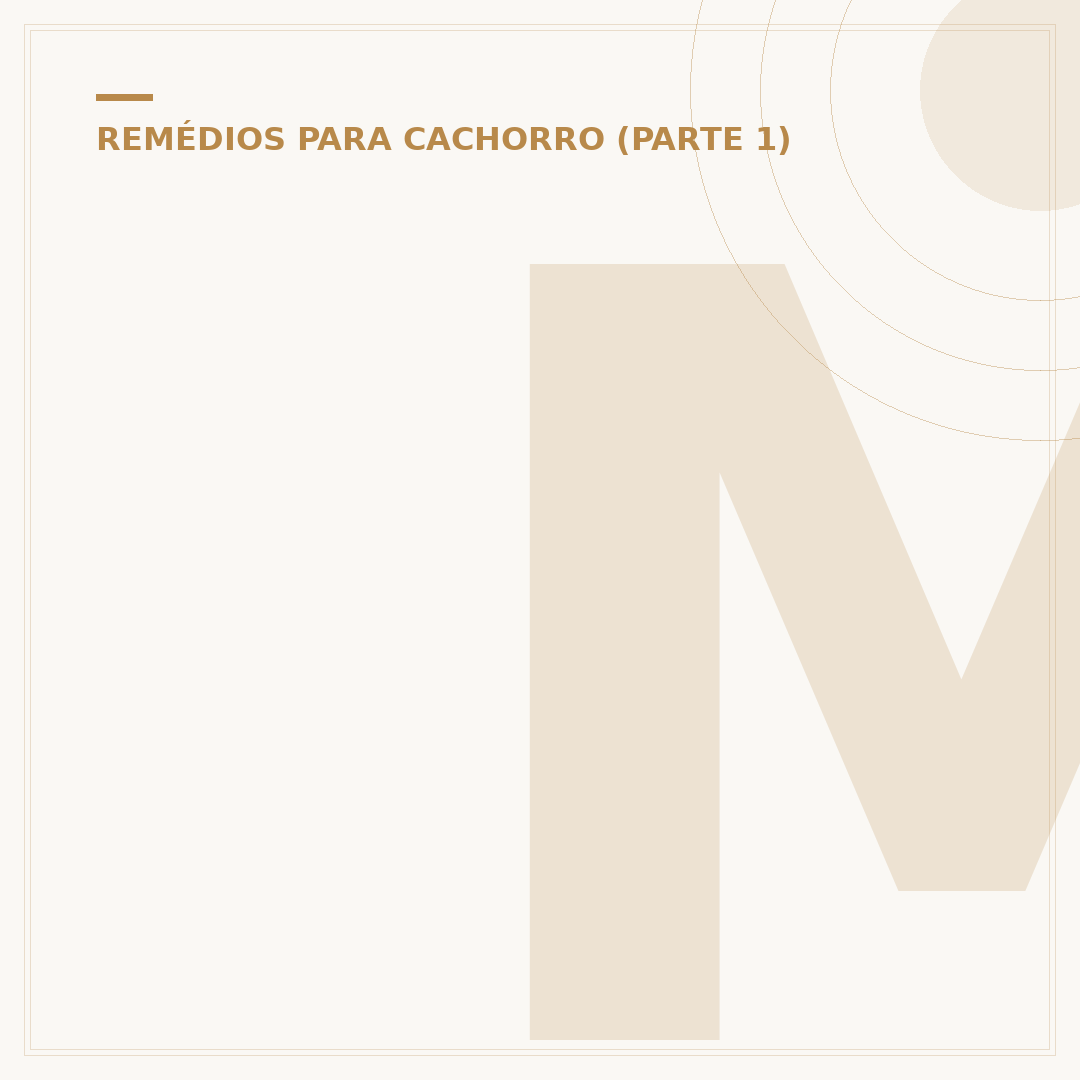 Meloxicam para cachorro: para que serve e como usar