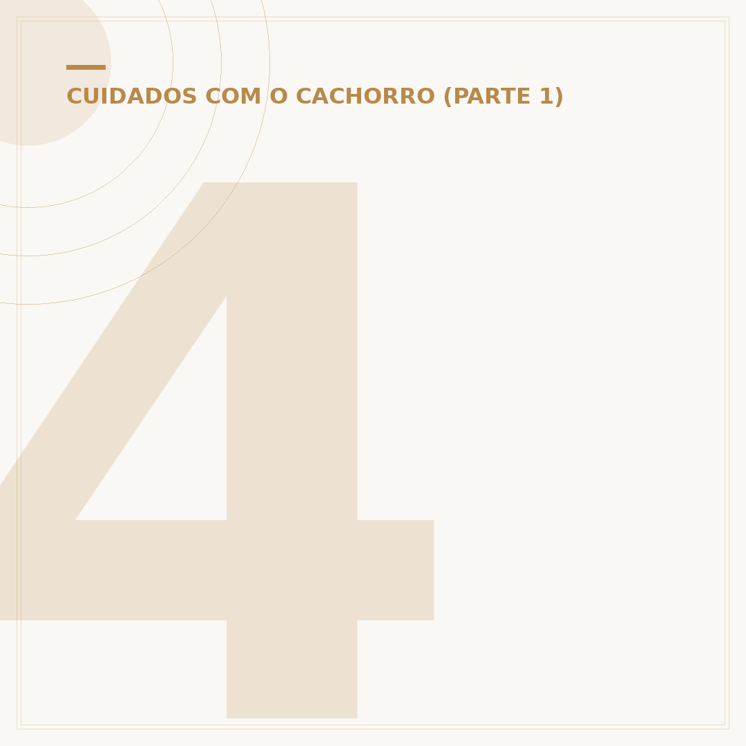 4 meses de cachorro equivale a quantos anos?