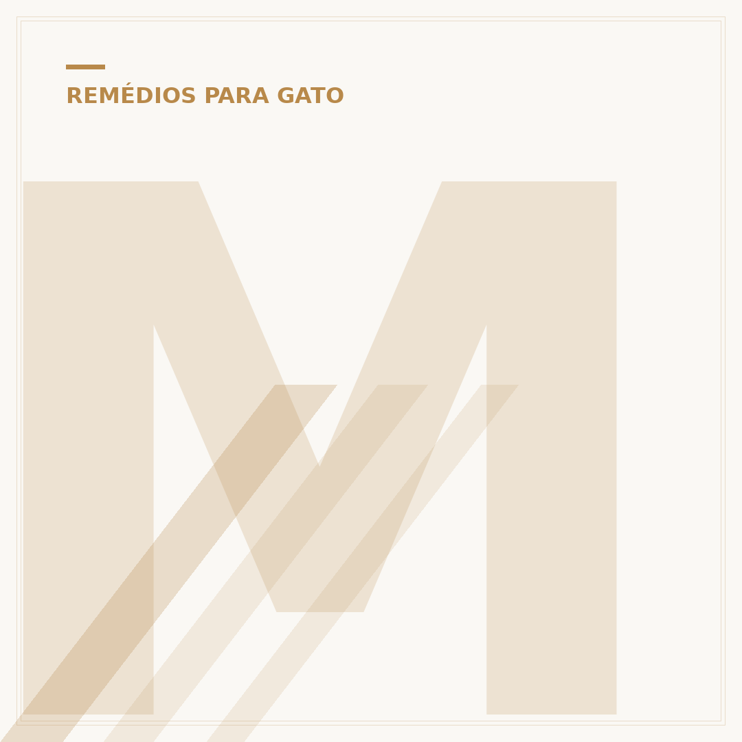 Metronidazol para gatos: o que saber