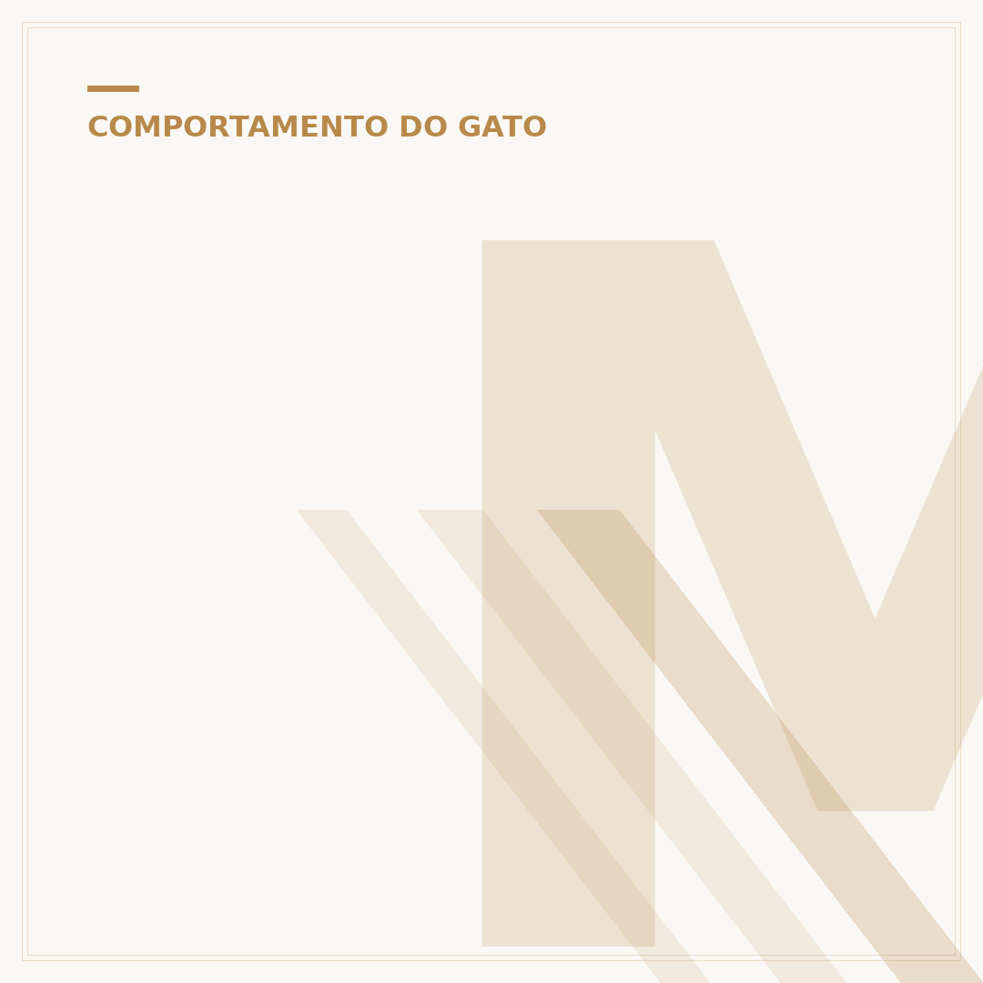 Mia cara de gato: o que significa essa expressão?
