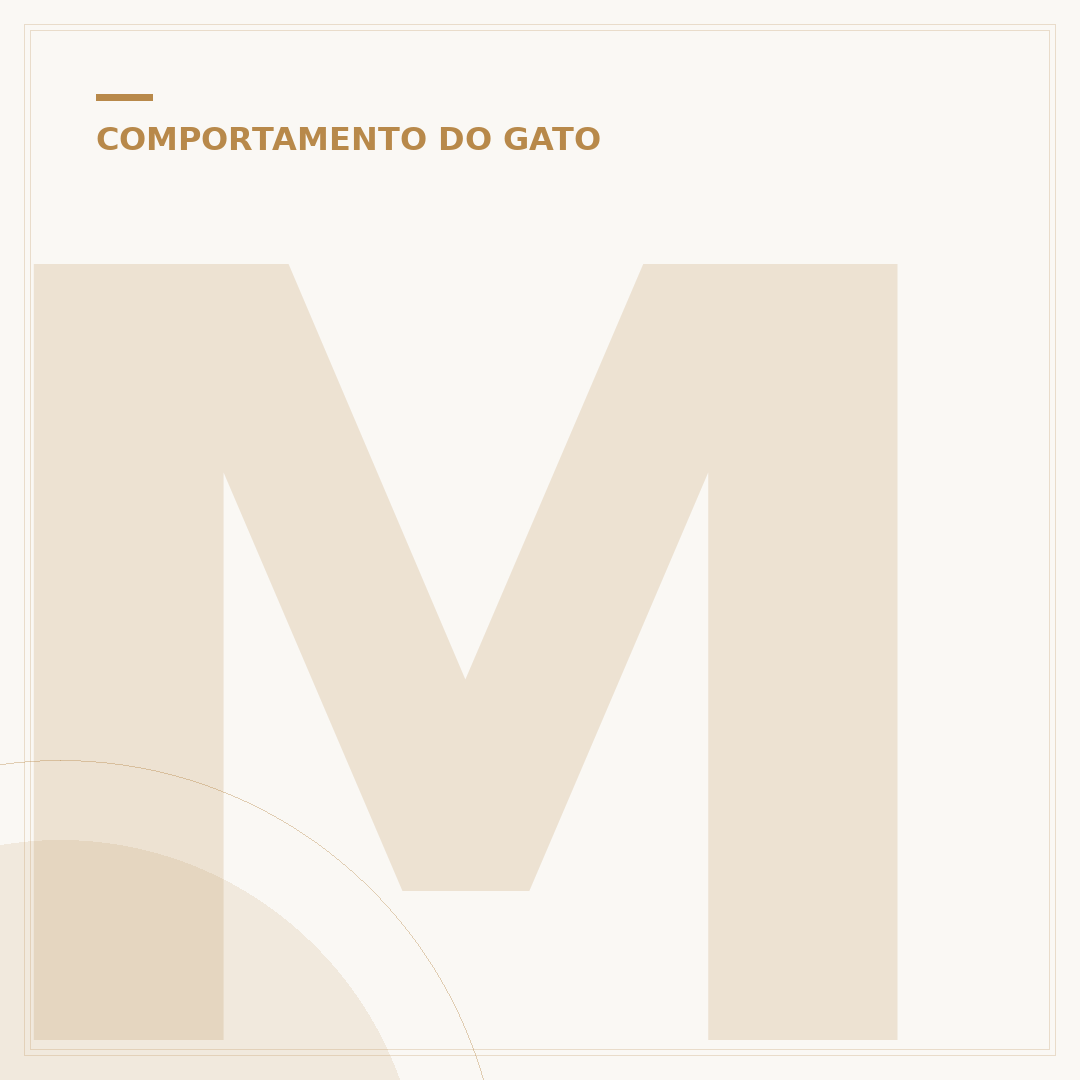 Miado para atrair gato: entenda a comunicação felina