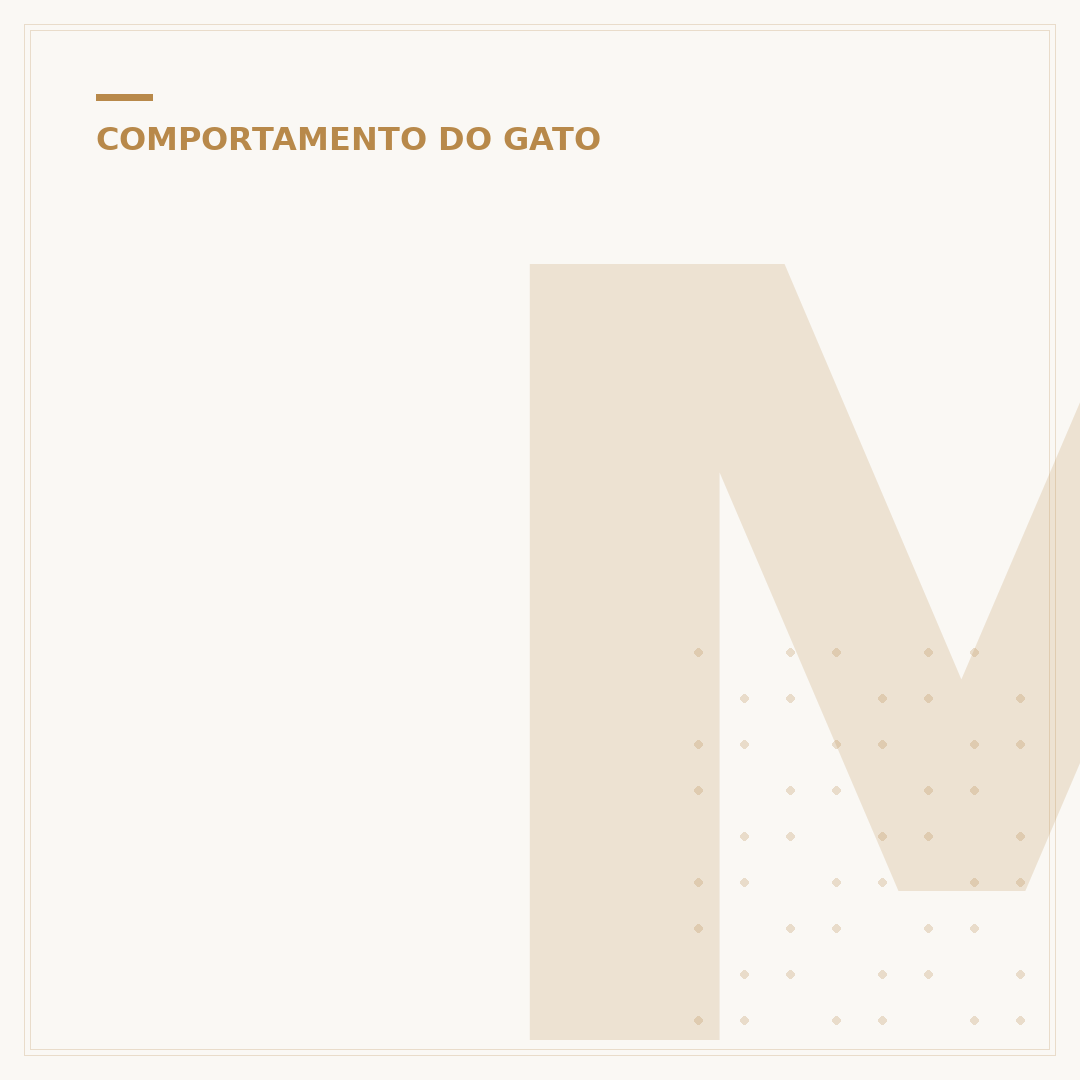 Miado de gato chamando filhote: decifre a comunicação