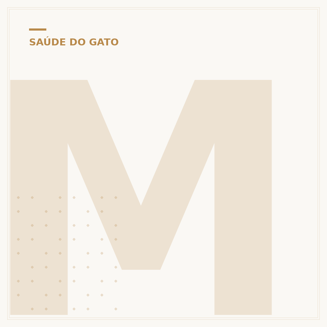 Miíase em gatos
