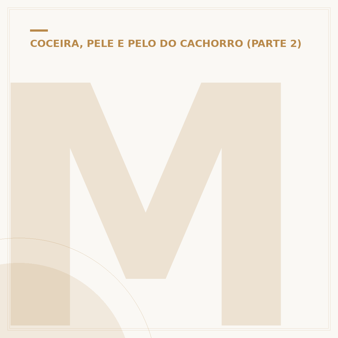 Micose no focinho do cachorro: causas, sintomas e tratamento