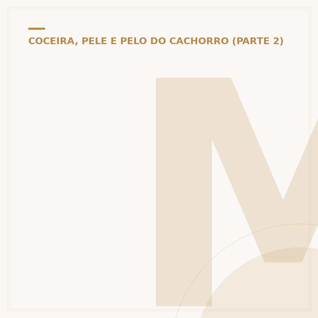 Micose na pata do cachorro: causas, sintomas e tratamento