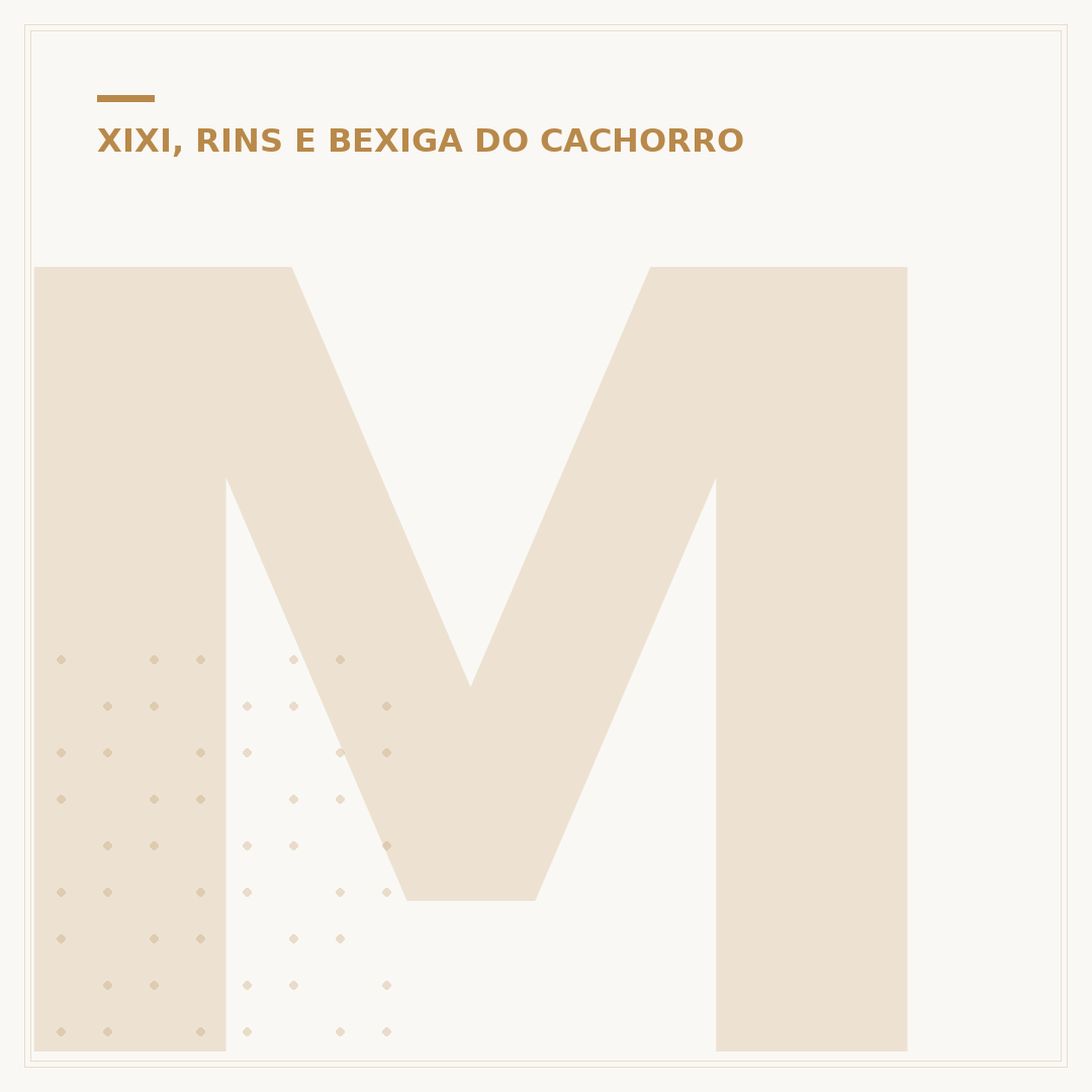 Misturinha para cachorro não fazer xixi
