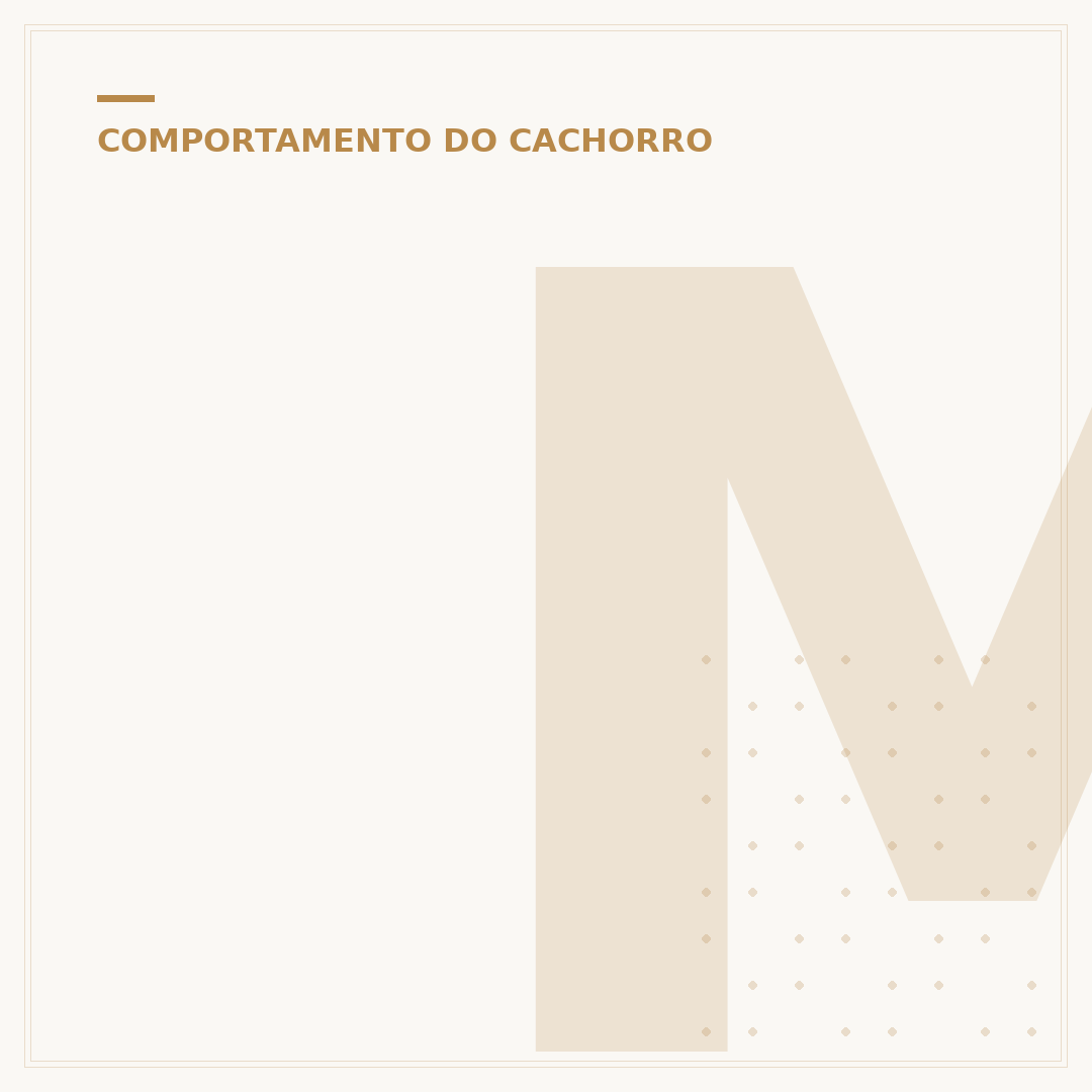 Morcego morde cachorro: riscos e o que fazer