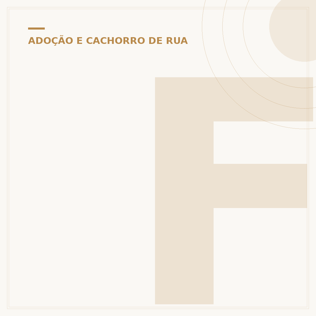 Fui mordido por um cachorro de rua