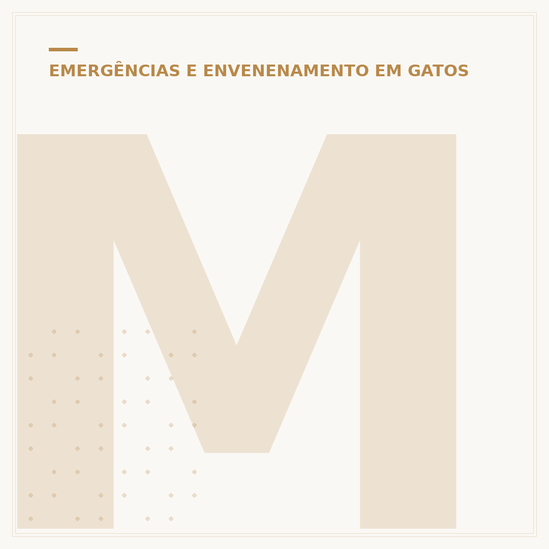 Morte do zoi de gato: causas, sintomas e o que observar