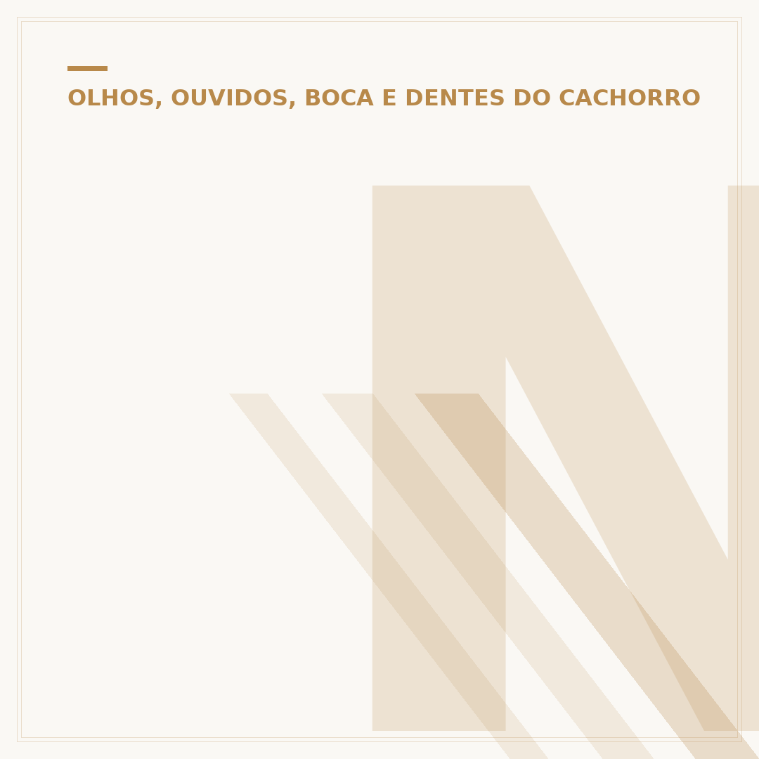 Nariz do cachorro descascando: causas e cuidados