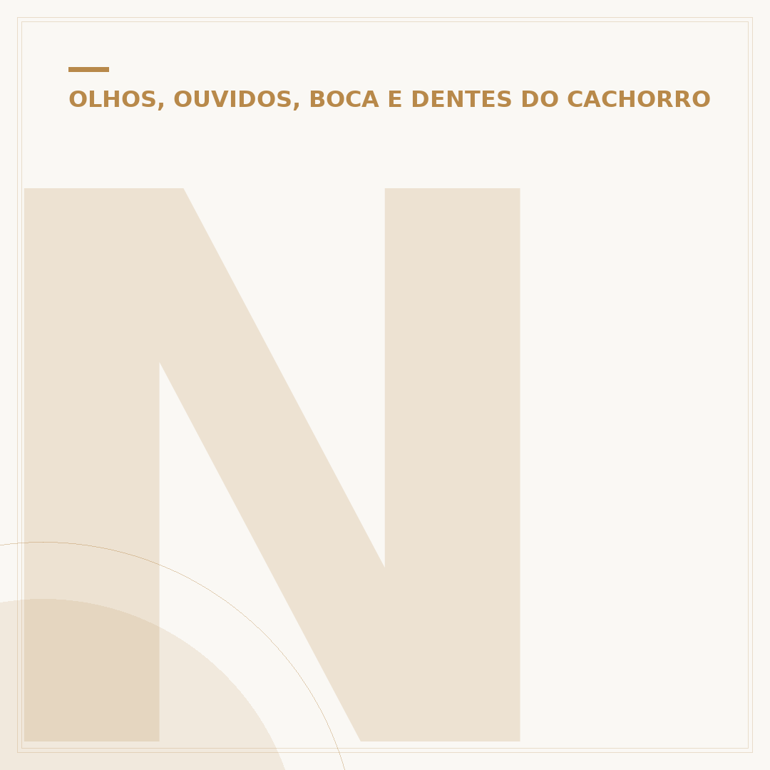Nariz do cachorro escorrendo água: o que pode ser?