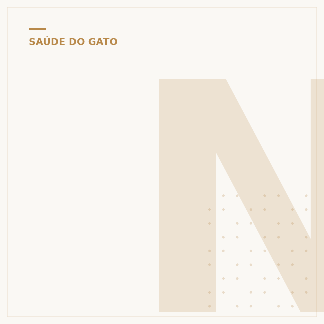 Nefropatia em gatos: causas, sintomas e manejo