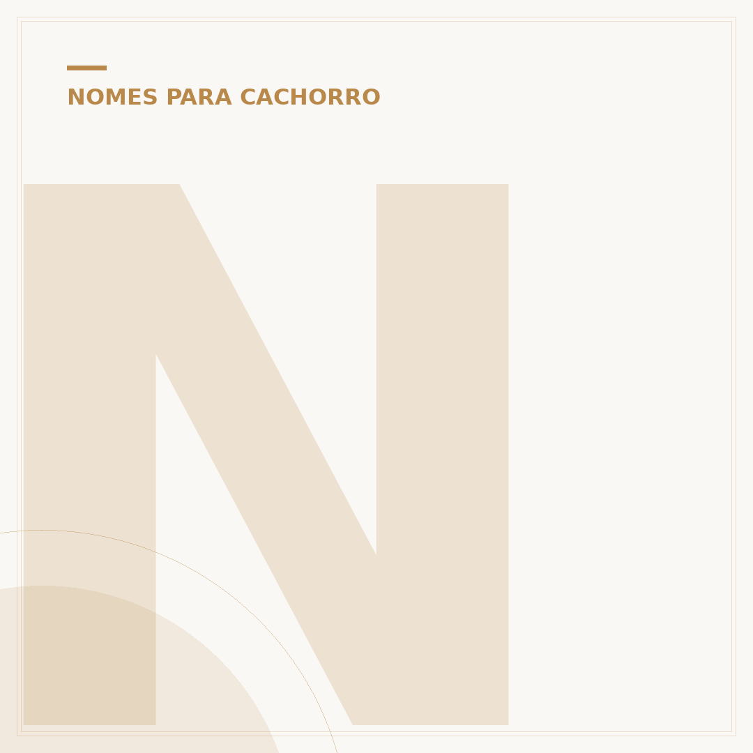 Nome de cachorro feminino: mais de 500 ideias criativas
