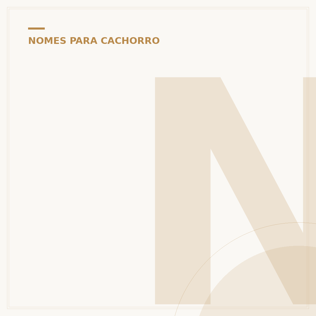 Nome de cachorro menino: inspirações e dicas para escolher