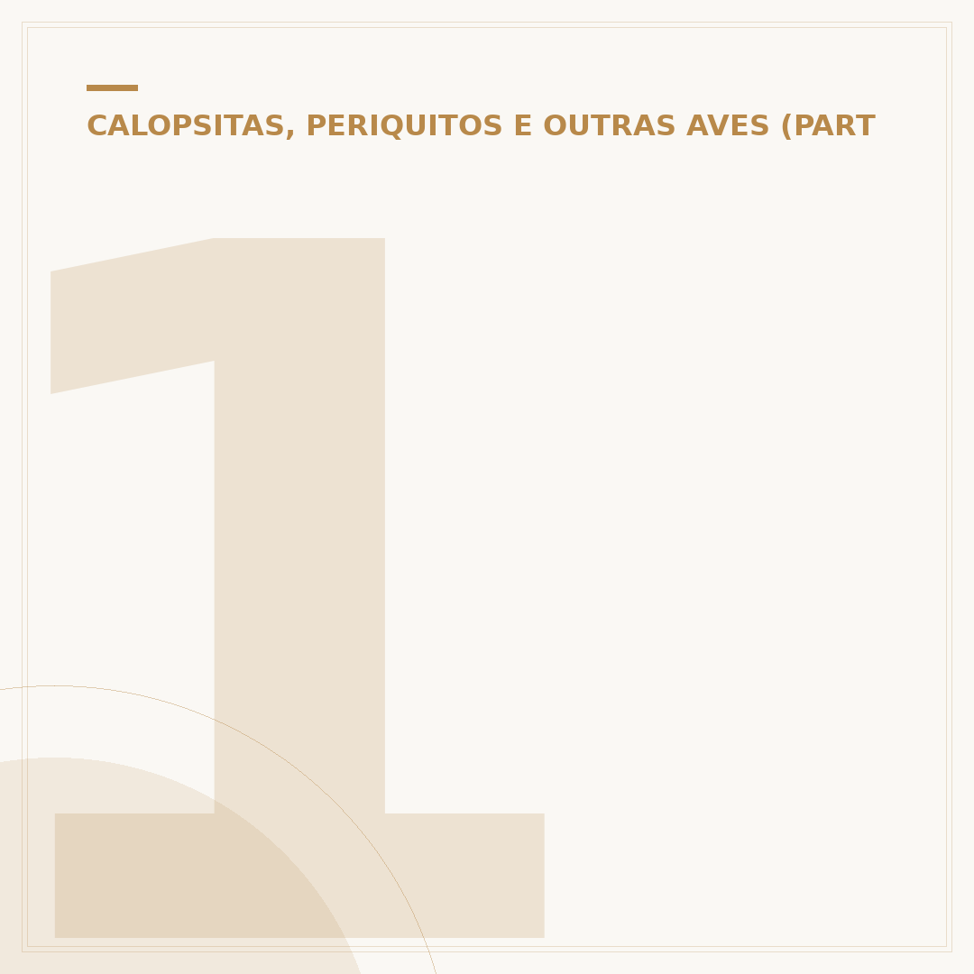 100 nomes para papagaio masculino: dicas e inspirações