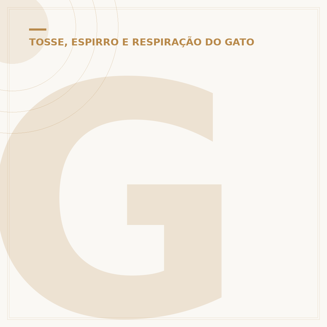 Gripe de gato: o que é bom e como ajudar seu felino