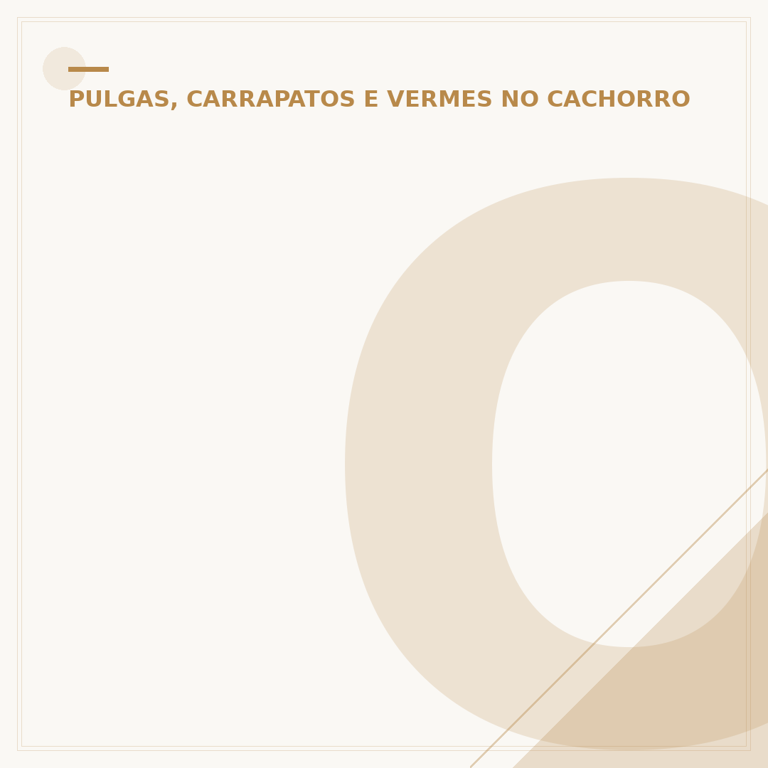 O que é bom para bicheira de cachorro?