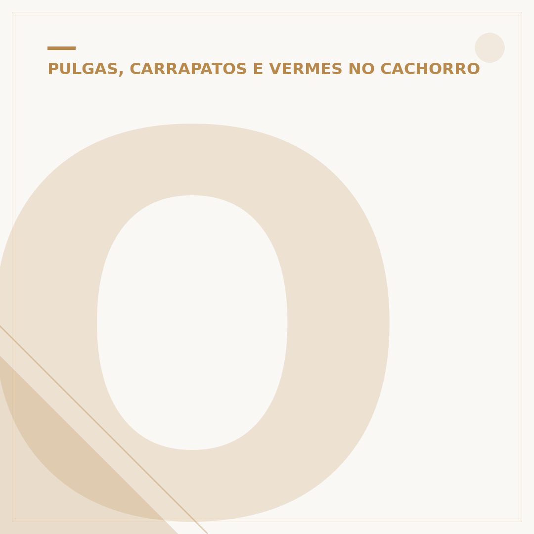 O que é bom para tirar carrapato de cachorro?