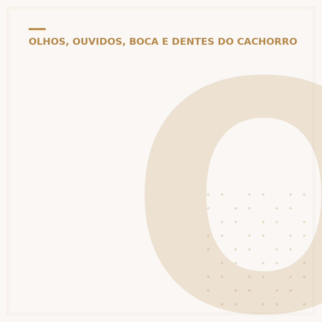 Olho do cachorro ficando branco: tem cura?
