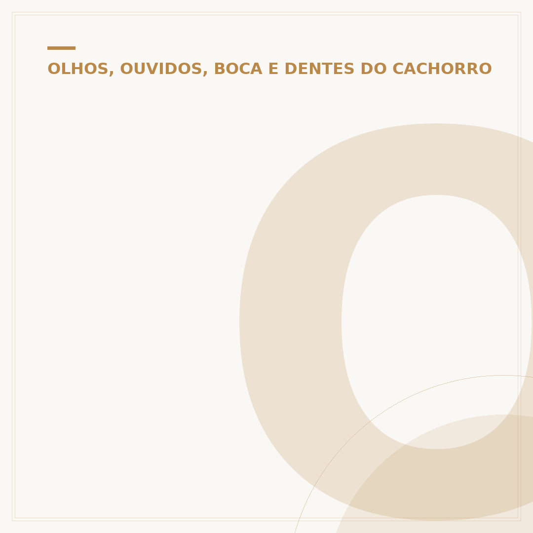 Olho do cachorro ficando branco e remelando